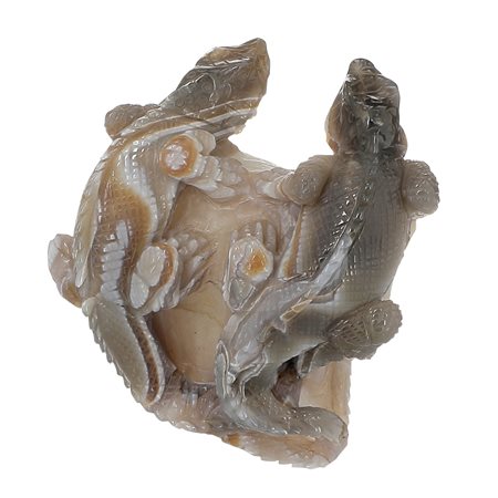 Cina. XX secolo
Varani su una roccia