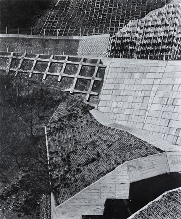 TOSHIO SHIBATA