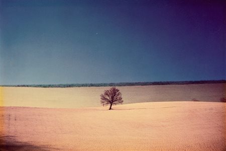Franco Fontana (1933)  - Paesaggio (Puglia), 1987