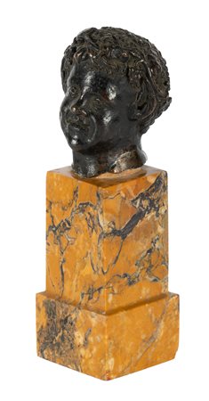 Scuola italiana del XVIII secolo, Testa di Bacchino. 