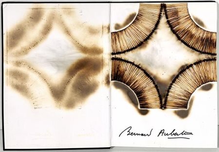 Bernard Aubertin "Livre Brûlé Rosenberg"