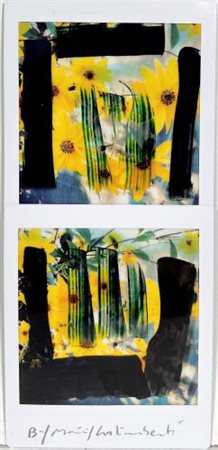 Maurizio Galimberti “BiFlowers”