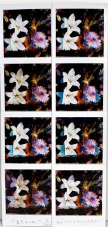 Maurizio Galimberti  "8F.K.M." 2017