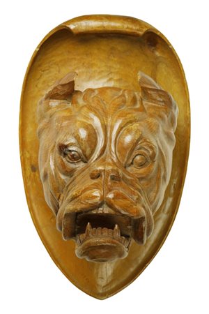  
Trofeo con testa di bulldog in legno intagliato e scolpito poggiante su scudo ovale 
 altezza cm 58; profondità cm 34