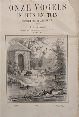  
Raccoglitore con 56 incisioni a colori rappresentanti uccelli tratte da Onze Vogels in HDIS en TUIN, 1876 Leiden 
 