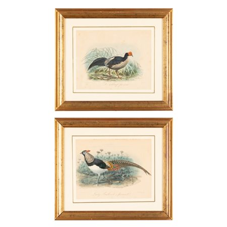  
Lotto di 2 incisioni acquerellate rappresentanti uccelli 
 cm 21,5x17; con cornice cm 35,5x31