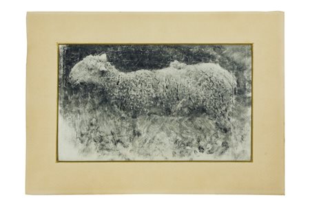 Francesco Paolo Michetti (Tocco da Casauria, 1851 - Francavilla al Mare, 1929) 
Pecorella di profilo 
disegno a fumo  
