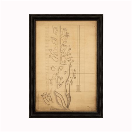 Claude Renaudot (1765 - 1790) 
Lotto di due mappe con tabella genealogica sotto forma di albero dei monarchi d'Inghilterra e di Scozia 
 cm 94x62; con cornice cm 107x75,5; cm 97x65; con cornice cm 111x70