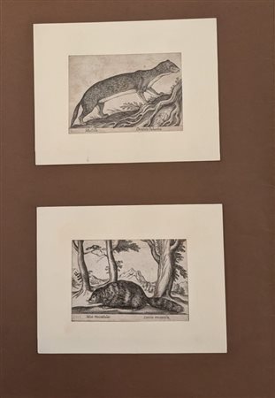  
Lotto di 8 incisioni di Antonio Tempesta 
 9,8x13,8