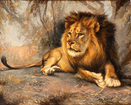 Wilhelm Kuhnert (attribuito a) (Opole, 1865 - Flims, 1926) Leone a riposo Olio su tavola cm....