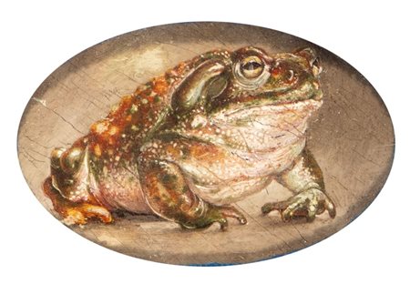 Artista naturalista, XVIII-XIX secolo Rospo Olio su rame cm. 11x3, bordi...