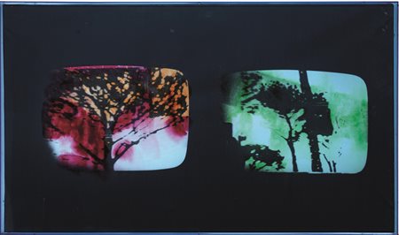 Mario Schifano(Homs 1934 - Roma 1998)INVENTARIOsmalto su tela emulsionata,...