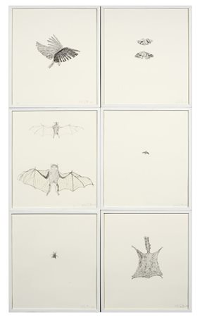 Kiki Smith,1954, Cartella di sei litografie e collage su carta vellum 1998,...
