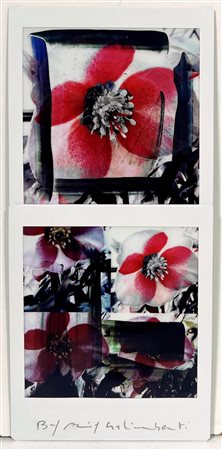 Galimberti Maurizio, 1956, Mosaico di dieci Fuji instax operate edizione...