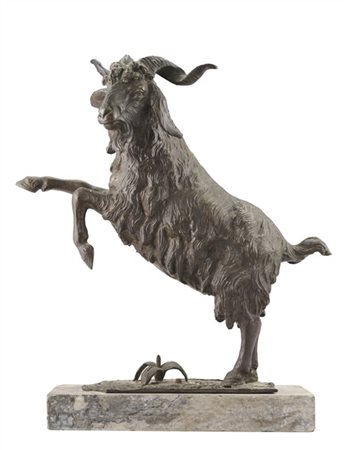 Tommaso Campajola "Caprone" 
scultura in bronzo su base in marmo (cm tot 35x28x1