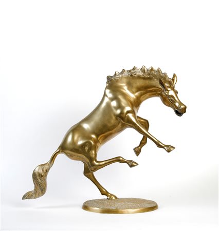  
Cavallo 
 Cm 50x61x1