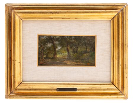 Federico Rossano - "Sottobosco"