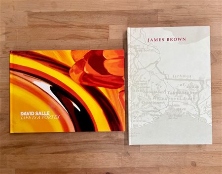 DAVID SALLE E JAMES BROWN - Lotto unico di 2 cataloghi
