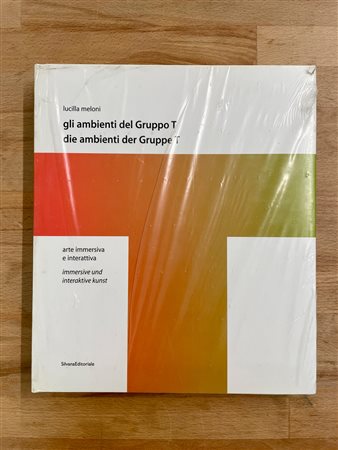 GRUPPO T - Gli ambienti del Gruppo T. Arte immersiva e interattiva, 2004