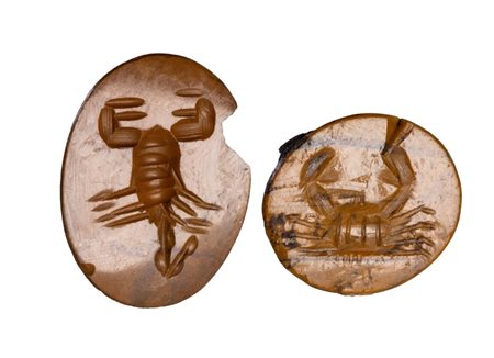 A lot of 2 Roman yellow jaspers intaglios. A crab and a scorpio.