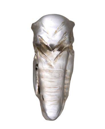 A Roman rock crystal amulet pendant. Cicada.