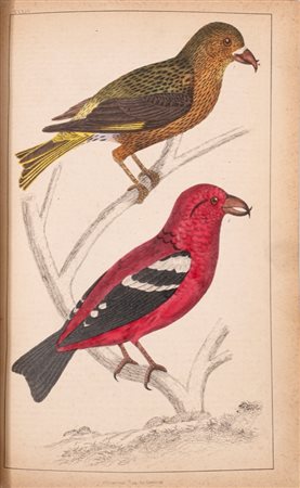 Oliver Goldsmith - A History of the Earth and Animated Nature, 1850 