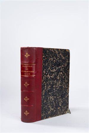 Grandville, Jean - Jacques - Les Métamorphoses du Jour, 1869