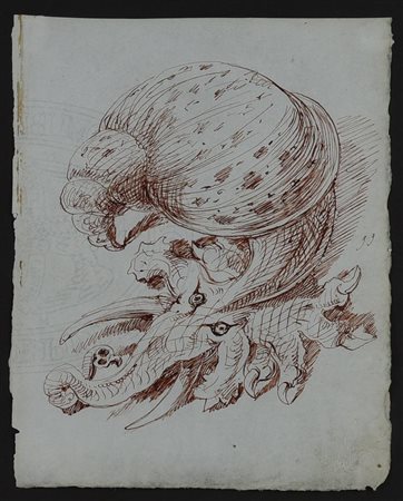 Emilio Lapi NAUTILUS china bruna su carta, cm 20x15,5