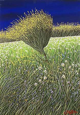 Giovanni Daurea (Caltanissetta 1955), "Notturno con ginestre", olio su tela,...