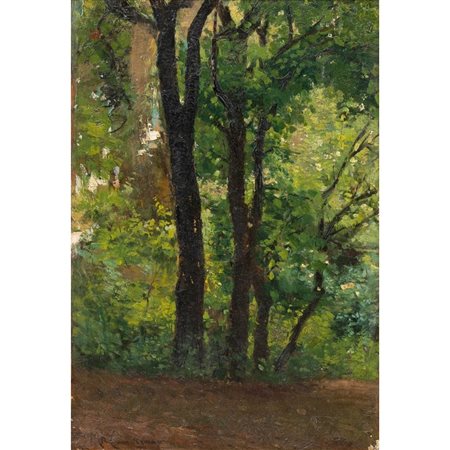 MICHELE CAMMARANO, Paesaggio boschivo, Olio su tavola