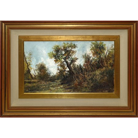 Ludovico  Cavaleri (1867 - 1942)  - Paesaggio con alberi