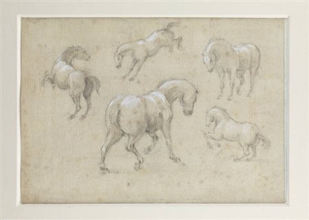 PITTORE ANONIMO<BR>"Studio per cavalli"