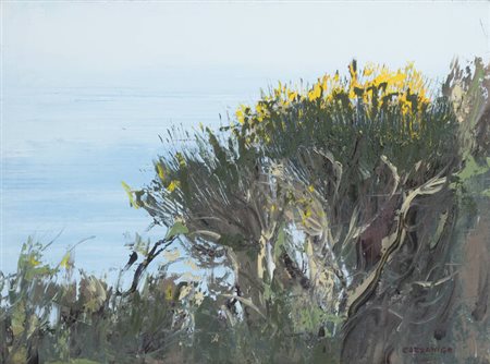 GIANCARLO CAZZANIGA<BR>Monza (MB) 1930<BR>"Ginestre"