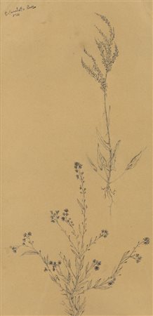 ENRICO COLOMBOTTO ROSSO<BR>Torino 1925 - 2013 Casale Monferrato (AL)<BR>"Rami" 1954