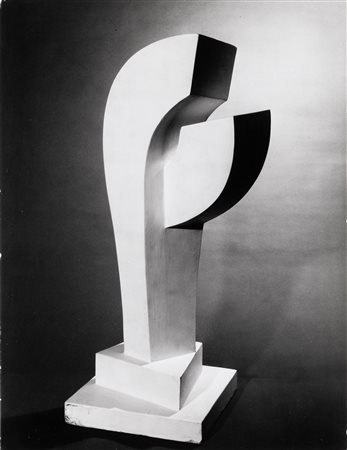 Man Ray 1890-1976, Die Herbstzeitlose