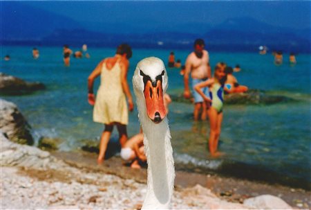 Martin Parr Nascita: 1952, Lake Garda, Italy