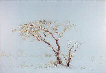 Rafael Yossef Herman Nascita: 1974 Be’er Sheva (ISR), Light of the dark no. 4
