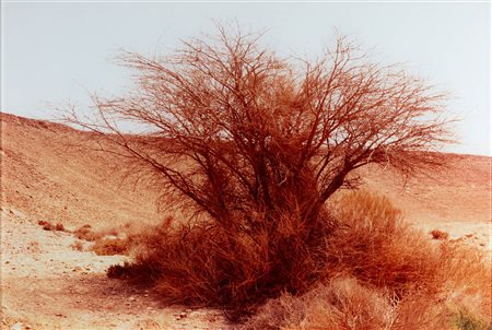 Rafael Yossef Herman Nascita: 1974 Be’er Sheva (ISR), Light of the dark no. 1