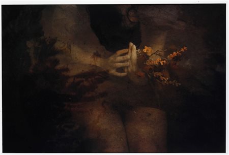 Viet Ha Tran Nascita: 1981, Poetry in your hands I