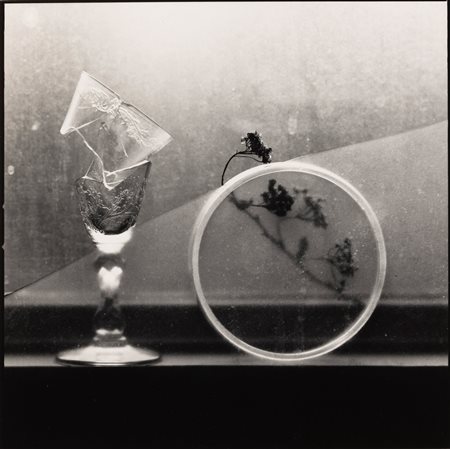 Toni Catany 1942-2013, La copa rompuda