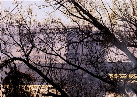 Abbas Gharib 1942-2025, dittico, Senza titolo, dalla serie 'Fog'