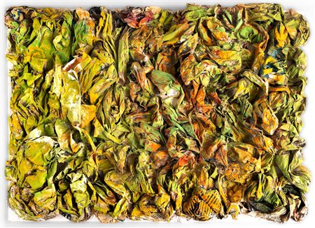 Paola Greggio, Parole green