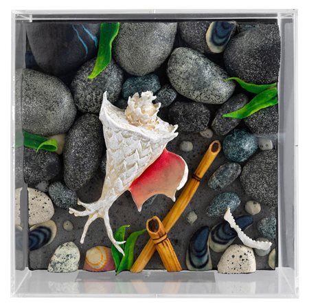 Piero Gilardi 1942 Torino-2023 Torino, Murex bianca