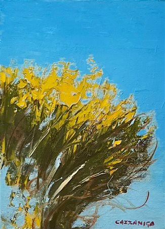 Giancarlo Cazzaniga “Ginestre” 1993