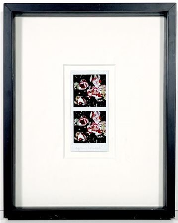 Maurizio Galimberti  "BiFlowers" 