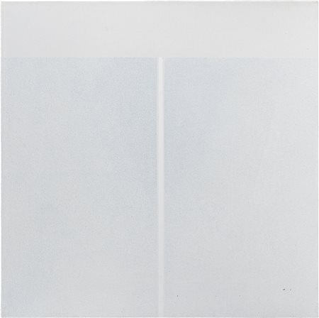 Superficie analitica n.269/74