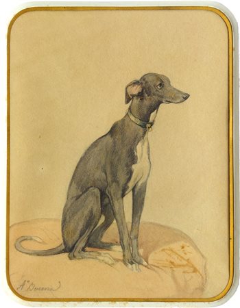 BECCARIA ANGELO Torino 1820 - 1897 "Piccolo levriere italiano" 24x18,5...