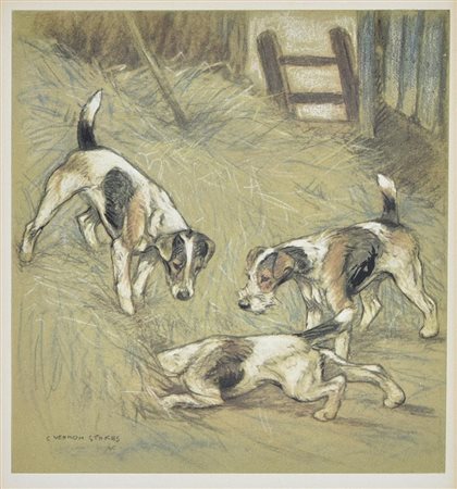 FOX TERRIERS, Inghilterra 1930 cromolitografia, cm 36x32 (con cornice) sul...