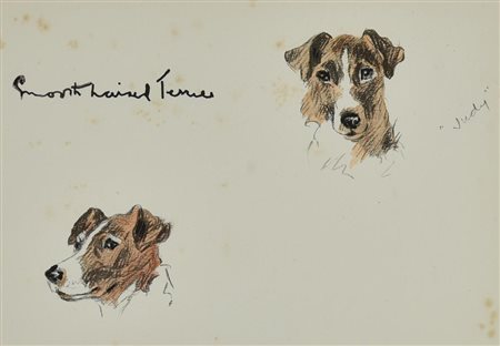 SMOOTH HAIRED FOX TERRIER, 1936 litografia, cm 28,8x36,8 (con cornice) sul...