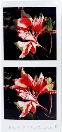 GALIMBERTI MAURIZIO Como 1956 "BiFlowers"